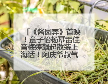 《酱园弄》首映！章子怡杨幂雷佳音梅婷飙起散装上海话！阿庆爷叔气氛组！独独没见他……