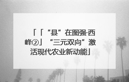 「“县”在图强·西峰②」“三元双向”激活现代农业新动能