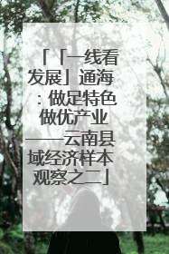 「一线看发展」通海：做足特色 做优产业——云南县域经济样本观察之二