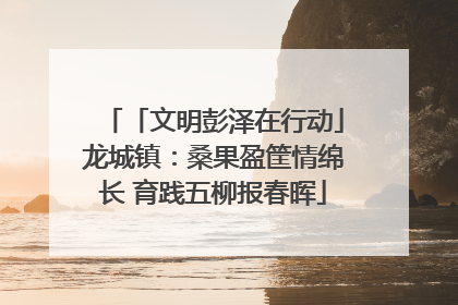 「文明彭泽在行动」龙城镇：桑果盈筐情绵长 育践五柳报春晖
