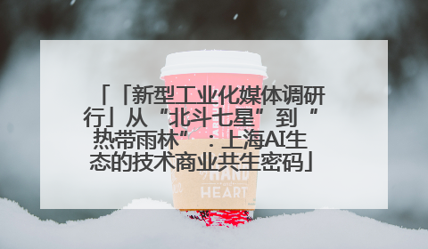 「新型工业化媒体调研行」从“北斗七星”到“热带雨林”：上海AI生态的技术商业共生密码