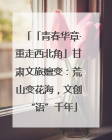 「青春华章·重走西北角」甘肃文旅嬗变：荒山变花海，文创“语”千年
