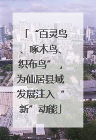 “百灵鸟、啄木鸟、织布鸟”，为仙居县域发展注入“新”动能