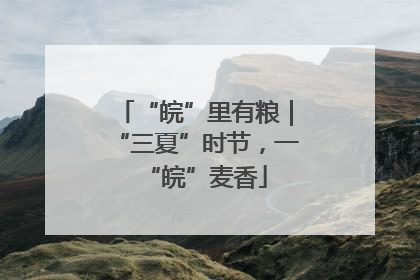 “皖”里有粮｜“三夏”时节，一“皖”麦香