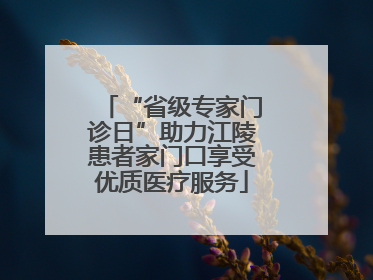 “省级专家门诊日”助力江陵患者家门口享受优质医疗服务