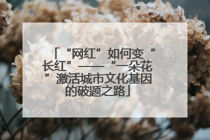 “网红”如何变“长红”——“一朵花”激活城市文化基因的破题之路