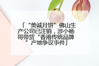 “美诚月饼”佛山生产公司已注销，涉小杨哥带货“香港传统品牌”产地争议事件