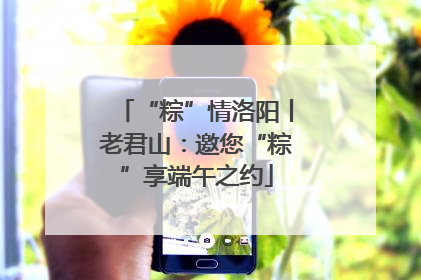 “粽”情洛阳丨老君山：邀您“粽”享端午之约