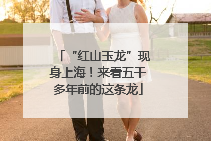 “红山玉龙”现身上海！来看五千多年前的这条龙
