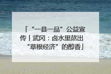 “一县一品”公益宣传丨武冈：卤水里熬出“草根经济”的醇香