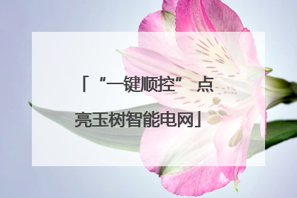 “一键顺控” 点亮玉树智能电网