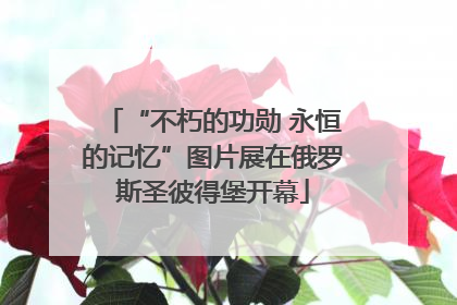 “不朽的功勋 永恒的记忆”图片展在俄罗斯圣彼得堡开幕