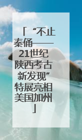 “不止秦俑——21世纪陕西考古新发现”特展亮相美国加州