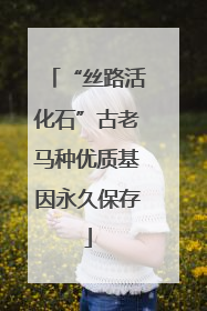 “丝路活化石”古老马种优质基因永久保存