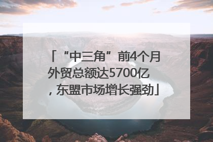 “中三角”前4个月外贸总额达5700亿，东盟市场增长强劲