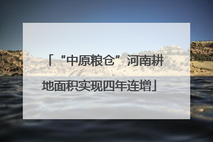 “中原粮仓”河南耕地面积实现四年连增