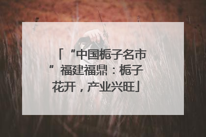 “中国栀子名市”福建福鼎：栀子花开，产业兴旺