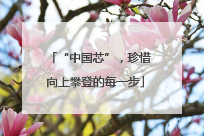 “中国芯”，珍惜向上攀登的每一步