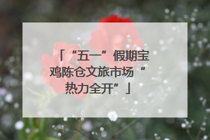 “五一”假期宝鸡陈仓文旅市场“热力全开”