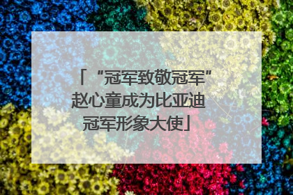“冠军致敬冠军” 赵心童成为比亚迪冠军形象大使