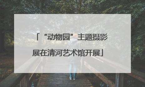 “动物园”主题摄影展在清河艺术馆开展