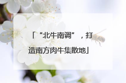 “北牛南调”，打造南方肉牛集散地