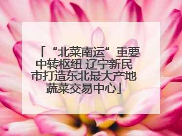 “北菜南运”重要中转枢纽 辽宁新民市打造东北最大产地蔬菜交易中心
