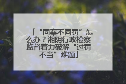 “同案不同罚”怎么办？湘阴行政检察监督着力破解“过罚不当”难题