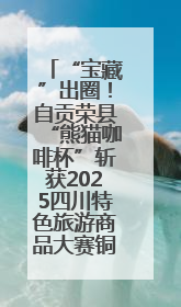 “宝藏”出圈！自贡荣县“熊猫咖啡杯”斩获2025四川特色旅游商品大赛铜奖