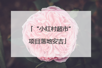 “小红村超市”项目落地安吉