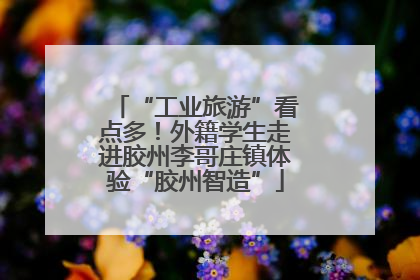 “工业旅游”看点多！外籍学生走进胶州李哥庄镇体验“胶州智造”