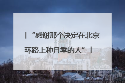 “感谢那个决定在北京环路上种月季的人”