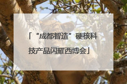 “成都智造”硬核科技产品闪耀西博会