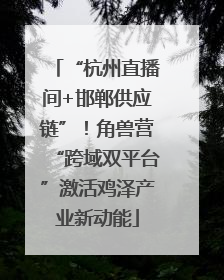 “杭州直播间+邯郸供应链”！角兽营“跨域双平台”激活鸡泽产业新动能