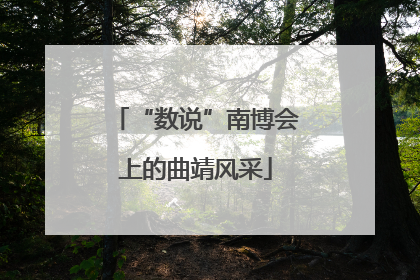 “数说”南博会上的曲靖风采