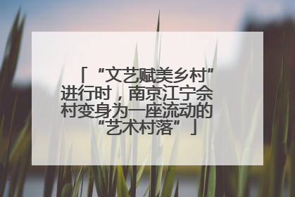 “文艺赋美乡村”进行时，南京江宁佘村变身为一座流动的“艺术村落”