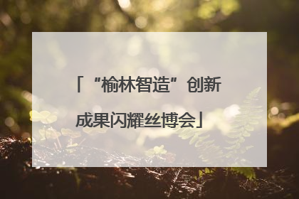 “榆林智造”创新成果闪耀丝博会