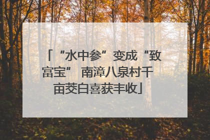 “水中参”变成“致富宝” 南漳八泉村千亩茭白喜获丰收