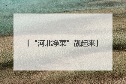 “河北净菜”靓起来
