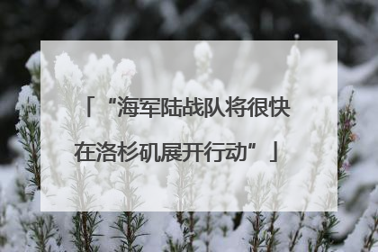 “海军陆战队将很快在洛杉矶展开行动”