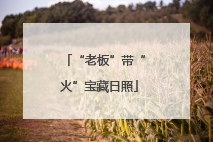 “老板”带“火”宝藏日照