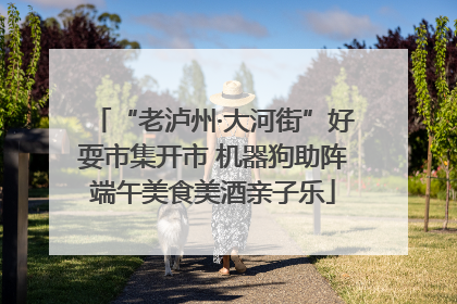 “老泸州·大河街”好耍市集开市 机器狗助阵端午美食美酒亲子乐