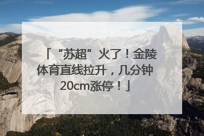 “苏超”火了！金陵体育直线拉升，几分钟20cm涨停！