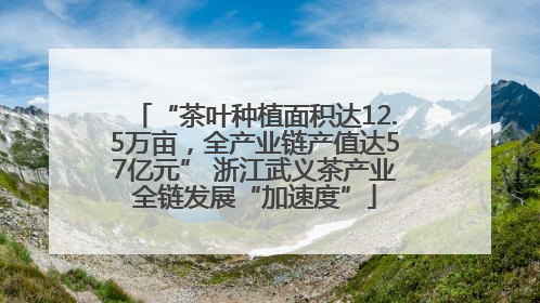 “茶叶种植面积达12.5万亩，全产业链产值达57亿元” 浙江武义茶产业全链发展“加速度”