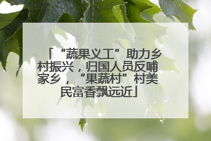 “蔬果义工”助力乡村振兴，归国人员反哺家乡，“果蔬村”村美民富香飘远近