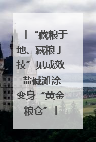 “藏粮于地、藏粮于技”见成效 盐碱滩涂变身“黄金粮仓”