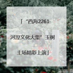 “西海2261·河湟文化大集”玉树主场精彩上演