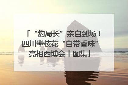 “豹局长”亲自到场！四川攀枝花“自带香味”亮相西博会丨图集