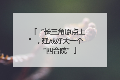 “长三角原点上”，建成好大一个“四合院”