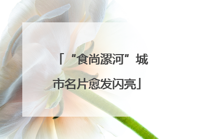 “食尚漯河”城市名片愈发闪亮